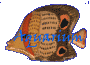 Button_Aquarium
